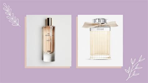 chloe love story cruelty free dupe|Perfumes Similar To Chloe Eau de Parfum [Best Dupes].